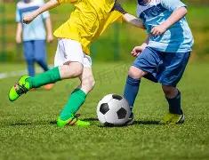 璀璨明星评,选盛典盛大,揭晓,好博,HaoBo,好博注册网址,好博app,好博官网,好博网站,好博下载