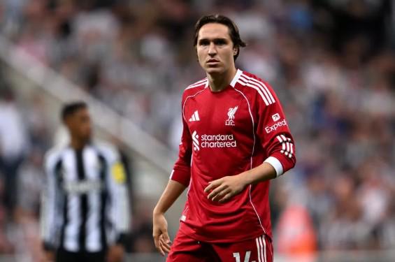 辽篮击败广,州队,威尔斯与张,好博,HaoBo,好博注册网址,好博app,好博官网,好博网站,好博下载