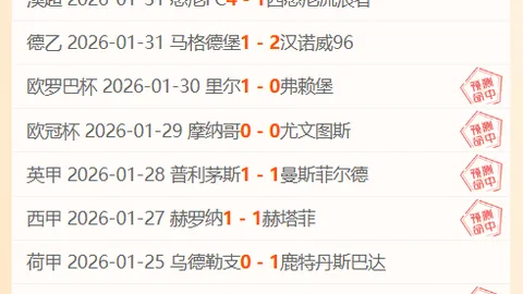 巴西教练坚持空中优势提升，遭球迷抗议恩德里克未获上场机会
